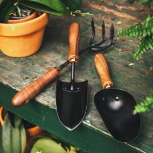 Gardening Tools - Hand Cultivator, Small Trowel, Garden Fork (Set Of 3) for Home Gardening, Perfectly Sized for Kids, Ideal for Flower Pot and Lawn