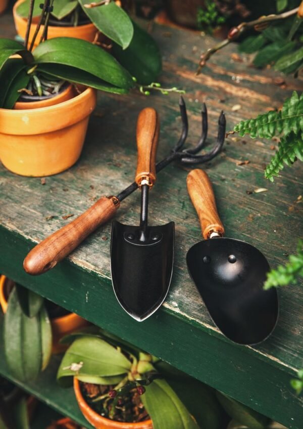 Gardening Tools - Hand Cultivator, Small Trowel, Garden Fork (Set Of 3) for Home Gardening, Perfectly Sized for Kids, Ideal for Flower Pot and Lawn