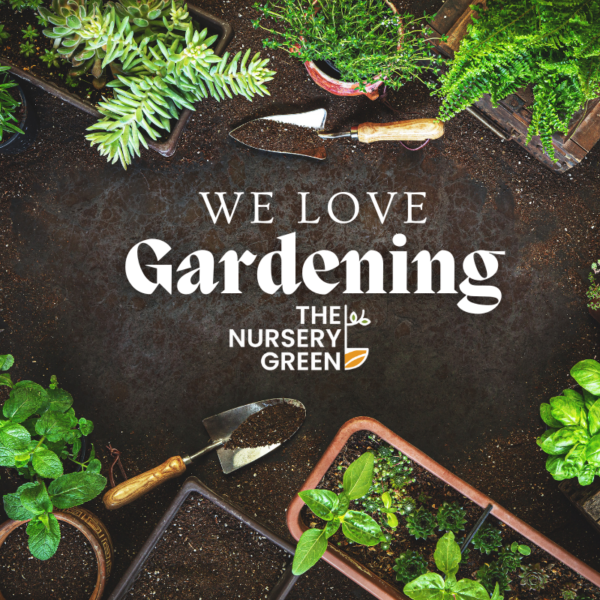 The Nursery Green - Cocopeat Block - Coirpith Block 5 Kg. Organic Coco Peat Brick - 100% Natural Coconut Coir for Gardening, Potting Mix, Hydroponics. - Image 6
